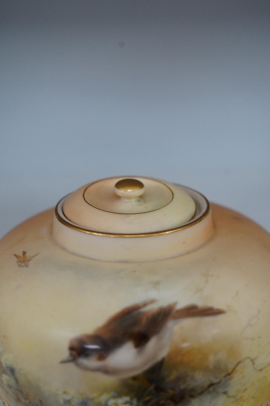 A Royal Worcester bird painted pot pourri and cover, painted by E. Barker, model number 1286, 19cm. Condition - good